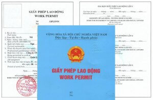 Mẫu giấy phép lao động